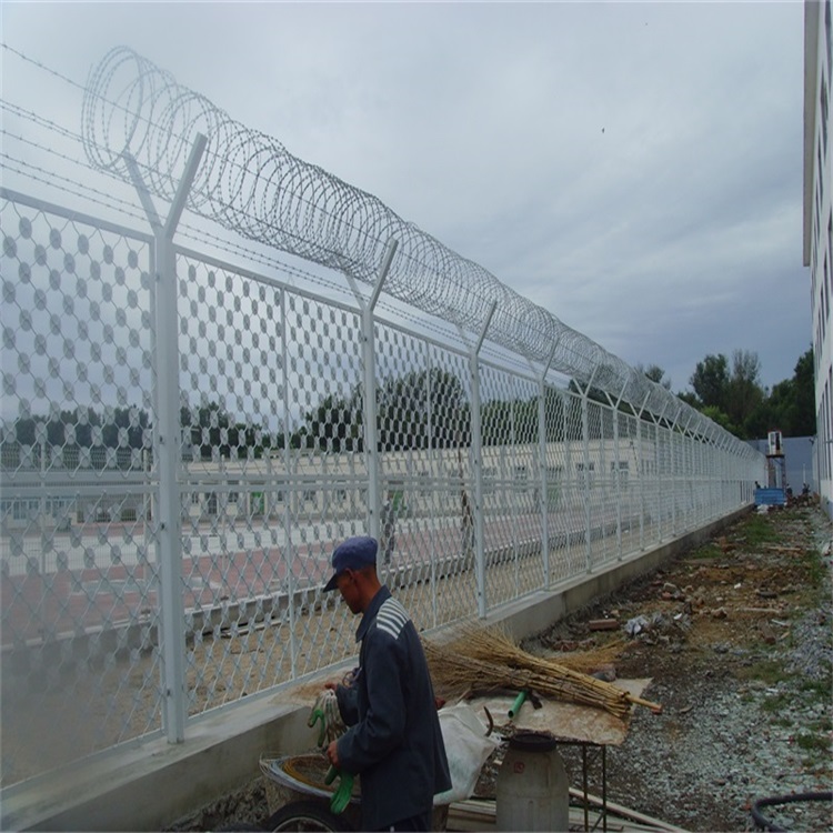 太陽花刀刺網墻