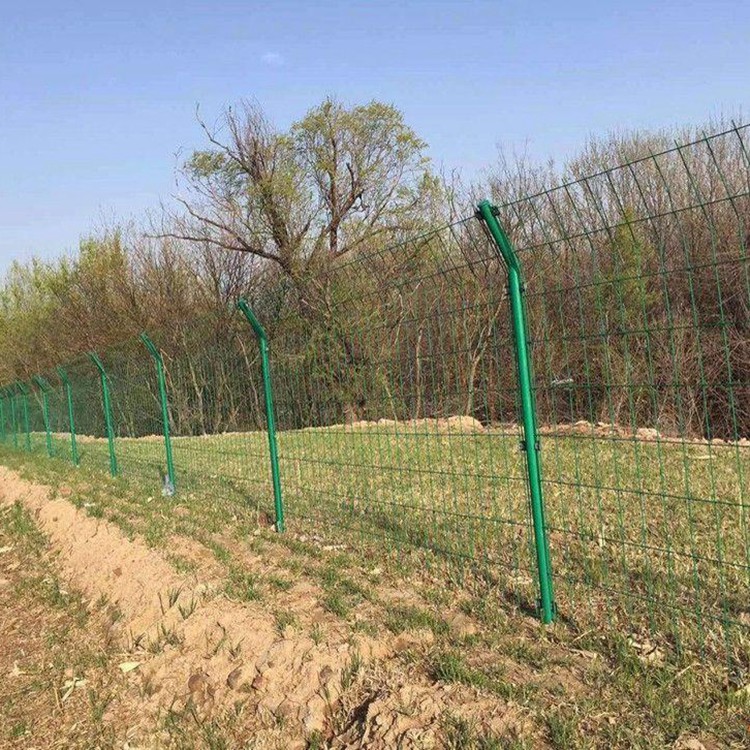 養(yǎng)殖鐵絲網(wǎng)護(hù)欄參數(shù)圖片1 養(yǎng)殖鐵絲網(wǎng)護(hù)欄參數(shù)圖片1