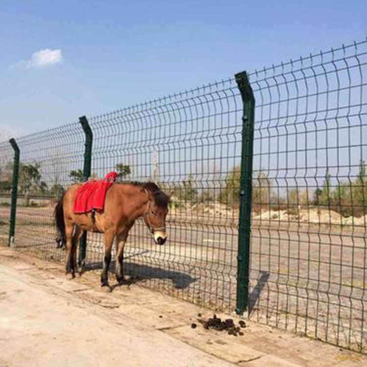 養(yǎng)殖鐵絲網(wǎng)護(hù)欄參數(shù)圖片2 養(yǎng)殖鐵絲網(wǎng)護(hù)欄參數(shù)圖片2