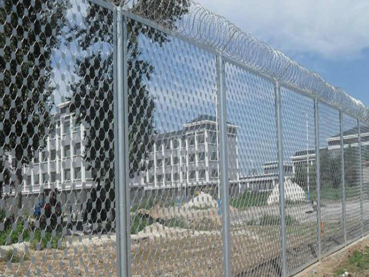 梅花刺隔離網 梅花刺隔離網