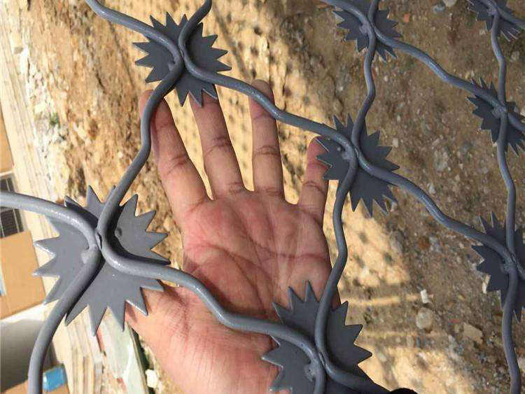 鋼網(wǎng)墻看守所 鋼網(wǎng)墻看守所