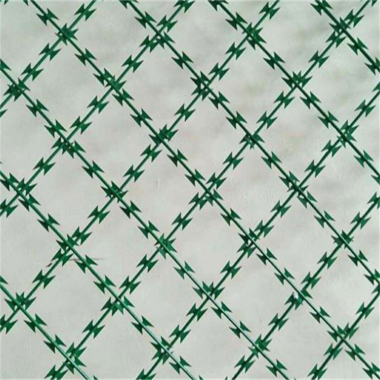 獄墻上鋼網(wǎng)墻刀刺網(wǎng)型號(hào)圖片3 獄墻上鋼網(wǎng)墻刀刺網(wǎng)型號(hào)圖片3