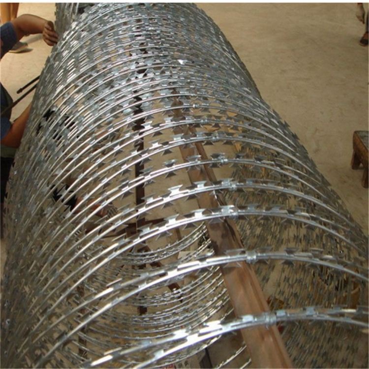 獄墻上鋼網(wǎng)墻刀刺網(wǎng)型號(hào)圖片4 獄墻上鋼網(wǎng)墻刀刺網(wǎng)型號(hào)圖片4