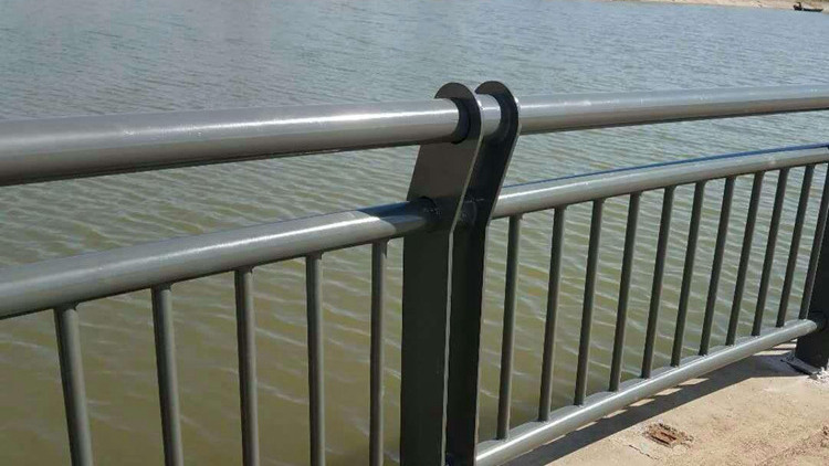 橋梁護(hù)欄18631858321