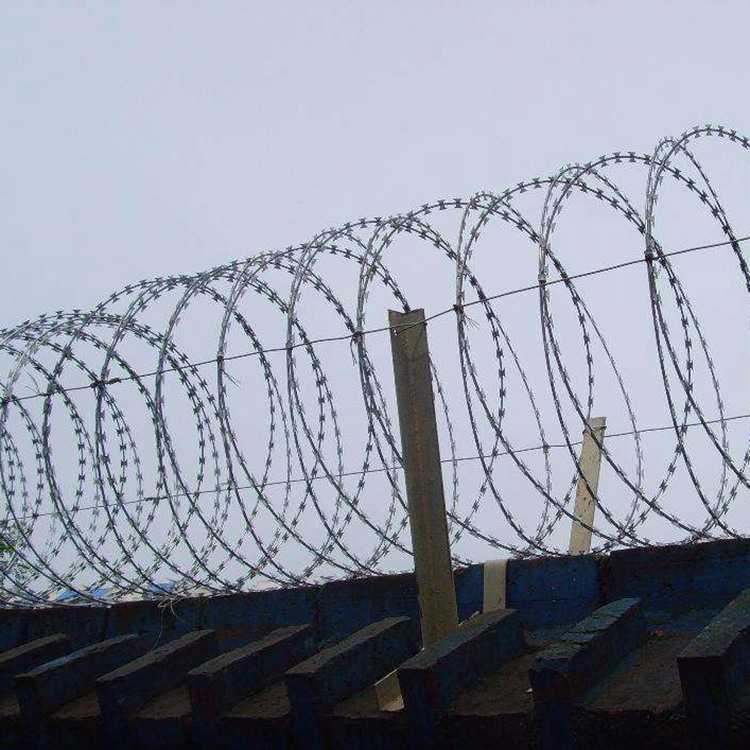 拉薩拉伸直線型刀片刺網已經驗收成功圖片3 拉薩拉伸直線型刀片刺網已經驗收成功圖片3