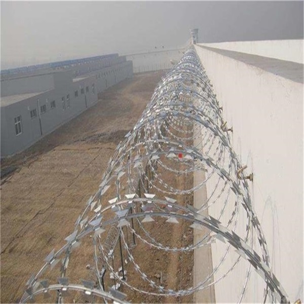 監獄看守所蛇腹式刀刺網圖片3 監獄看守所蛇腹式刀刺網圖片3