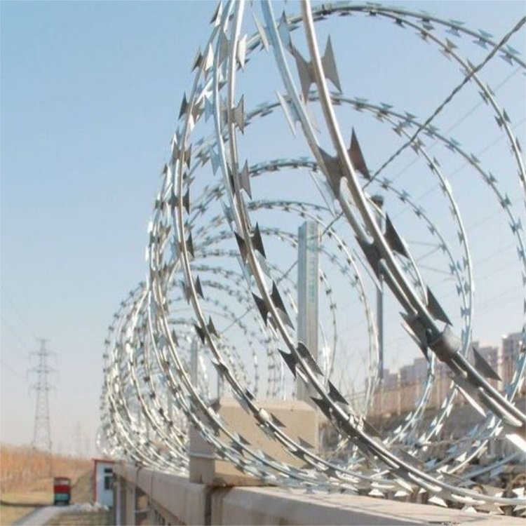 不銹鋼304蛇腹形刀刺網圖片4 不銹鋼304蛇腹形刀刺網圖片4