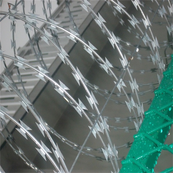 蛇腹形(型)刀刺網圖片3 蛇腹形(型)刀刺網圖片3