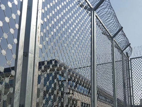 梅花刺隔離網(wǎng)刺片圖片3 梅花刺隔離網(wǎng)刺片圖片3