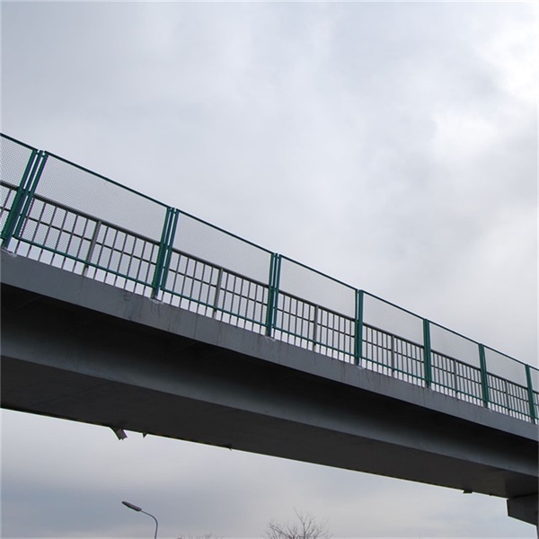橋梁防拋物網